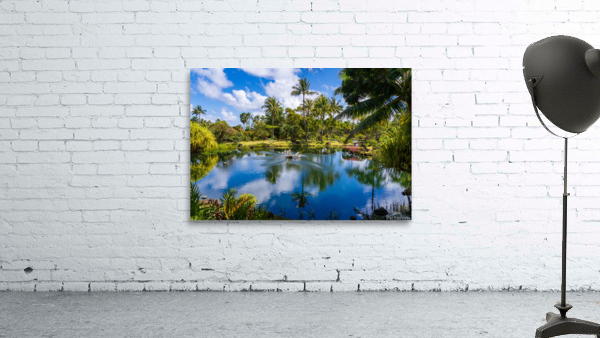 Gorgeous lagoon and lake in the Na Aina Kai sculpture garden Wall Preview