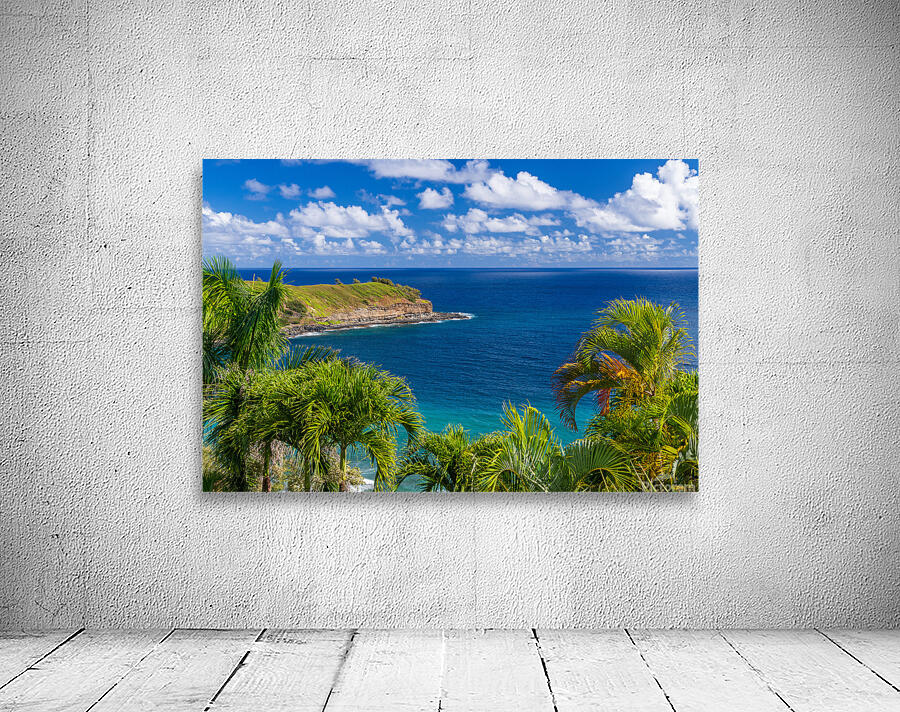 Mokolea point and Kahili beach framed by palm trees Kauai Wall Preview