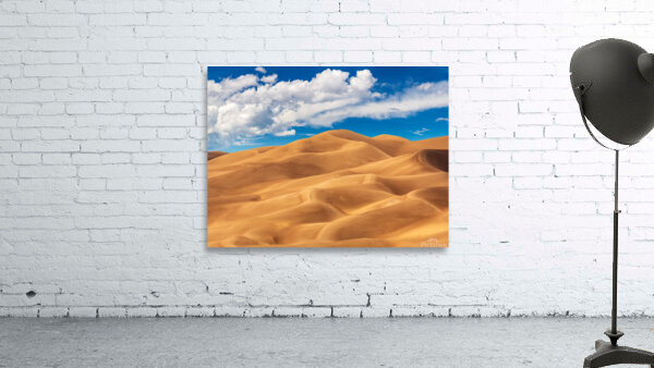 Panorama of Great Sand Dunes National Park by Steve Heap