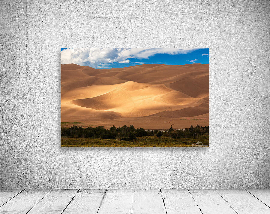 People on Great Sand Dunes NP  Wall Preview