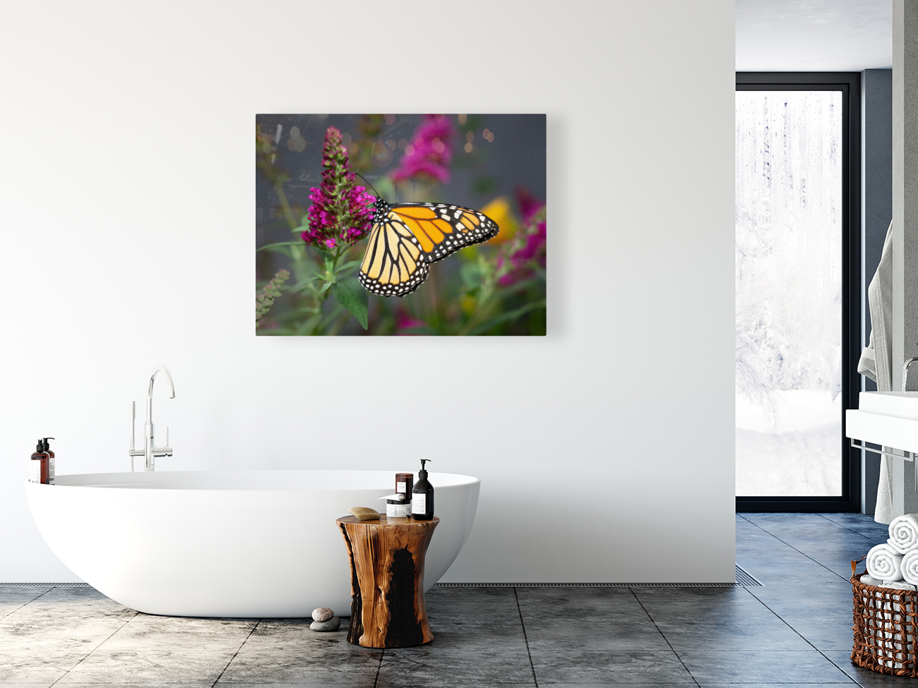 Close up of beautiful Monarch butterfly feeding in garden Reproduction