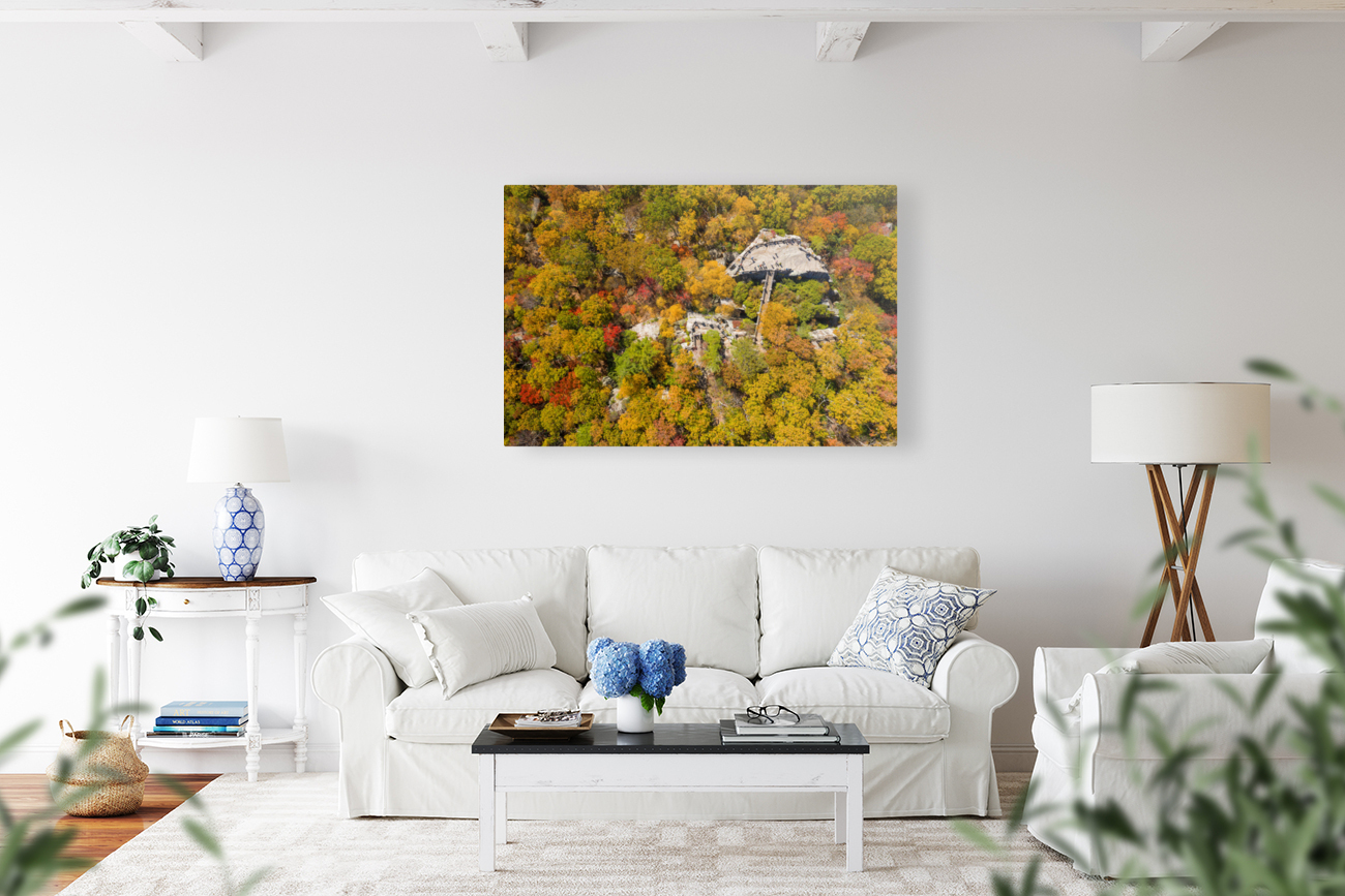 Vertigo Reproduction