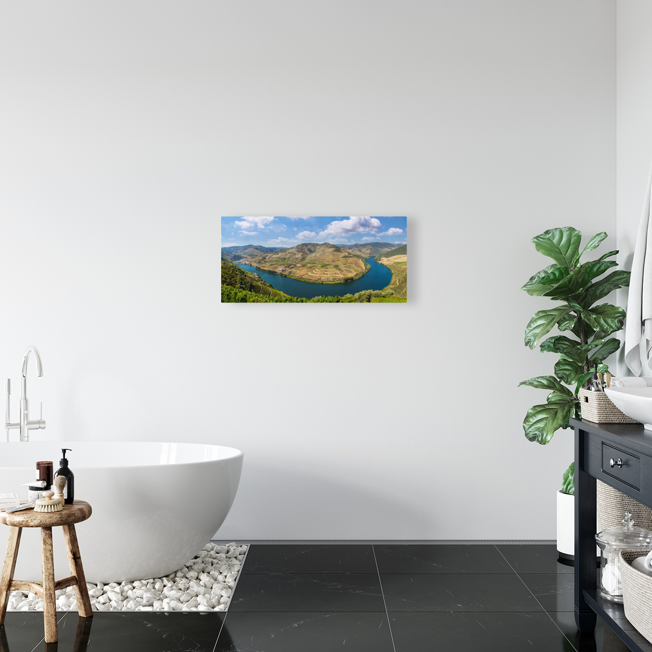 Vineyards line the Douro valley in Portugal Reproduction