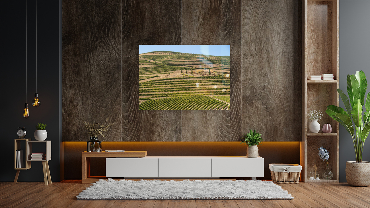 Terraced rows of vines by river Douro in Portugal Reproduction