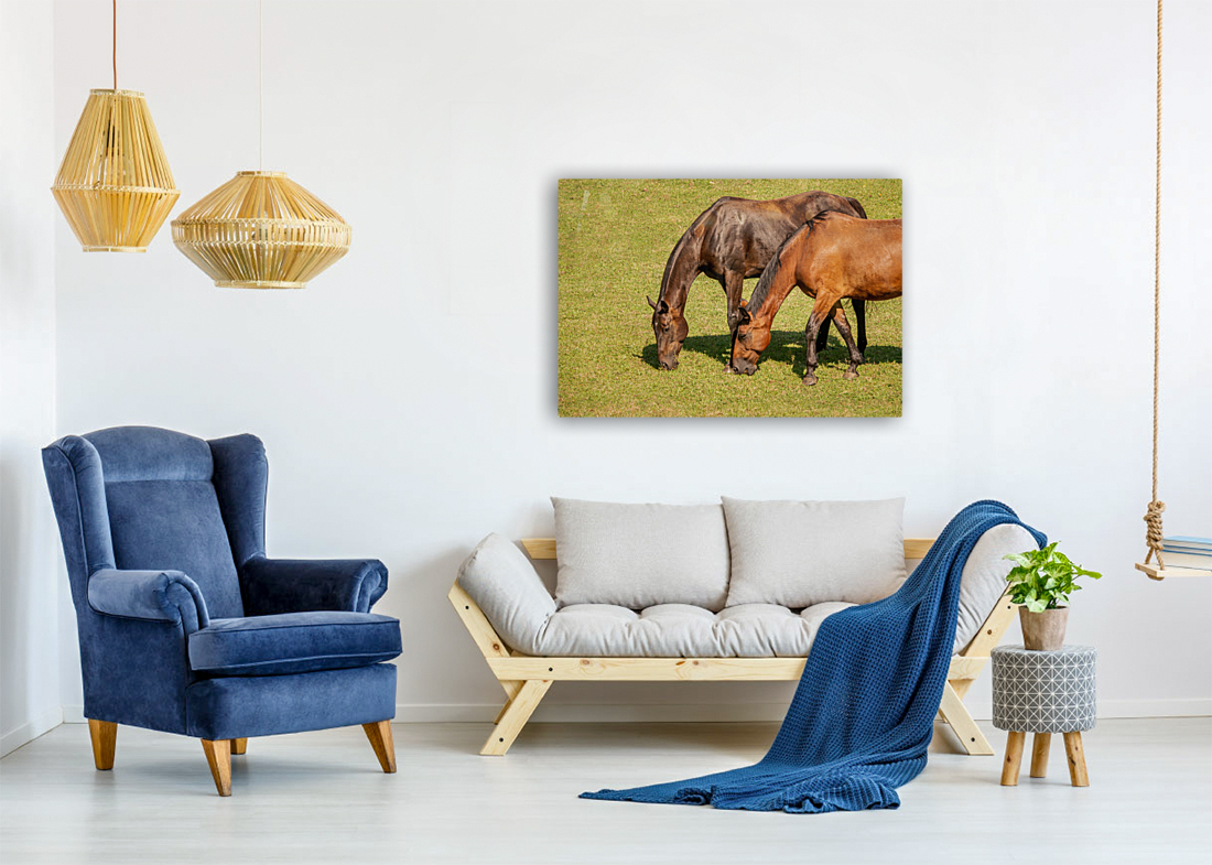 Two brown horses grazing in a meadow Reproduction