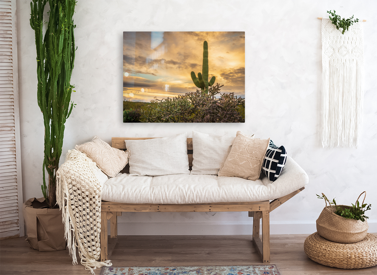 Sunset in Saguaro National Park Tucson Reproduction