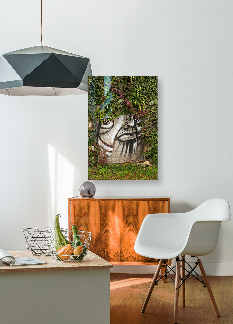 Graffiti on wall of rock like face of cat Reproduction