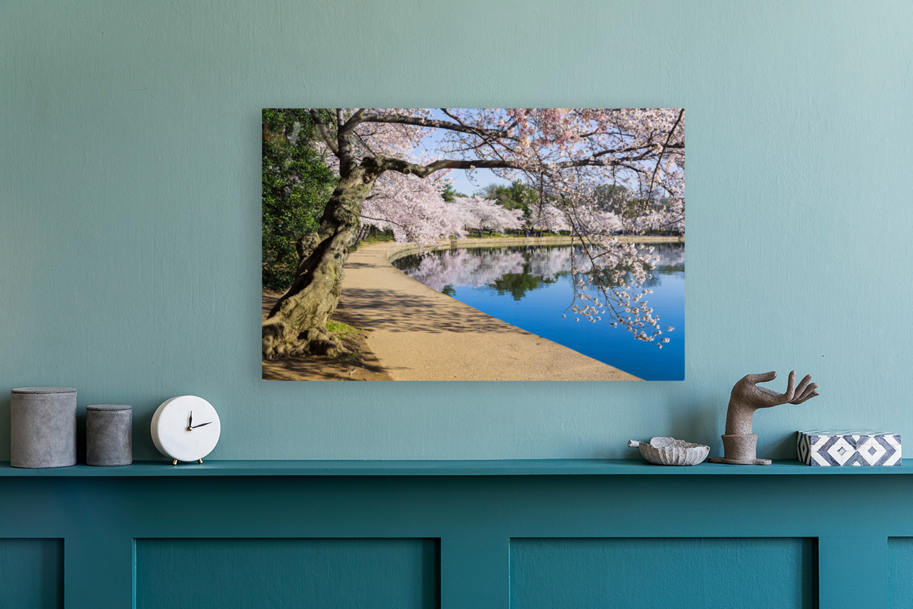 Pathway around the tidal basin during Cherry Blossom Festival Reproduction