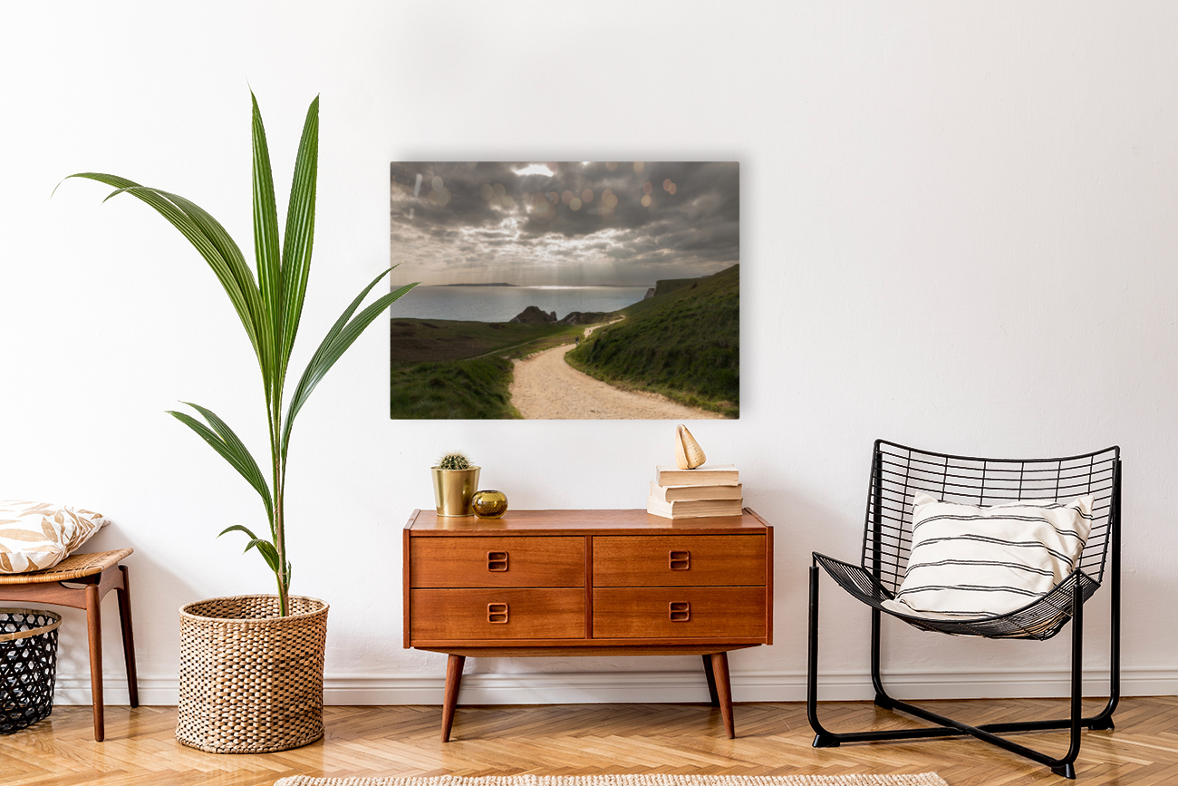 Pathway to the sunlight by ocean Reproduction