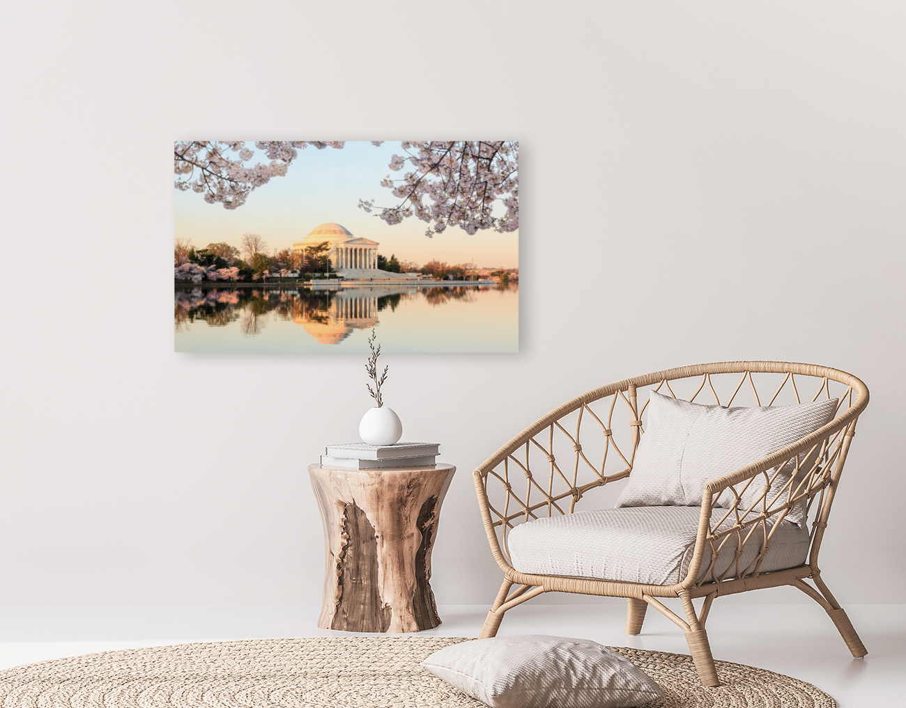 Wide Vista of Beautiful early cherry blossoms Jefferson Memorial Reproduction
