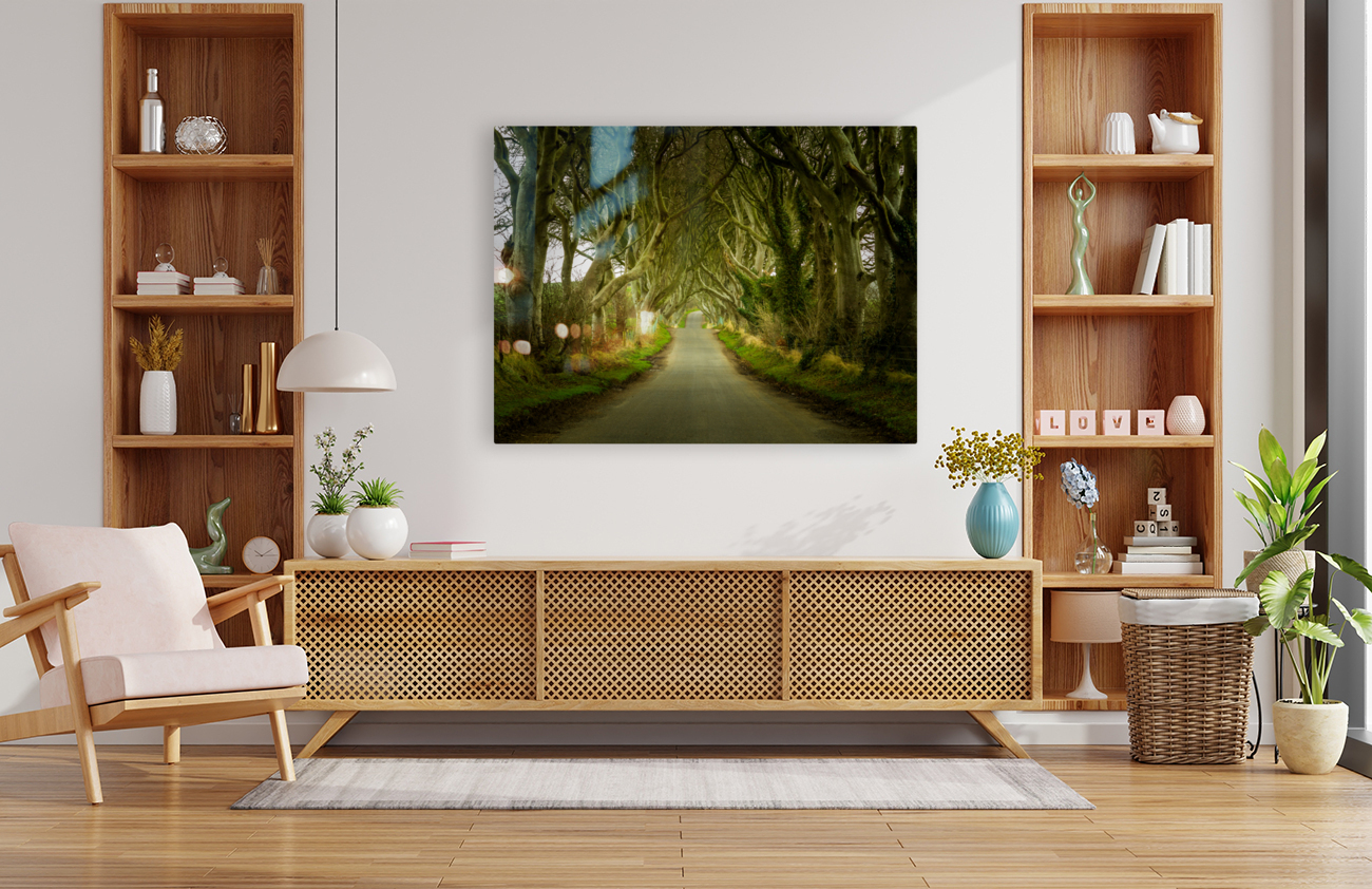 Dark Hedges road through old trees Reproduction