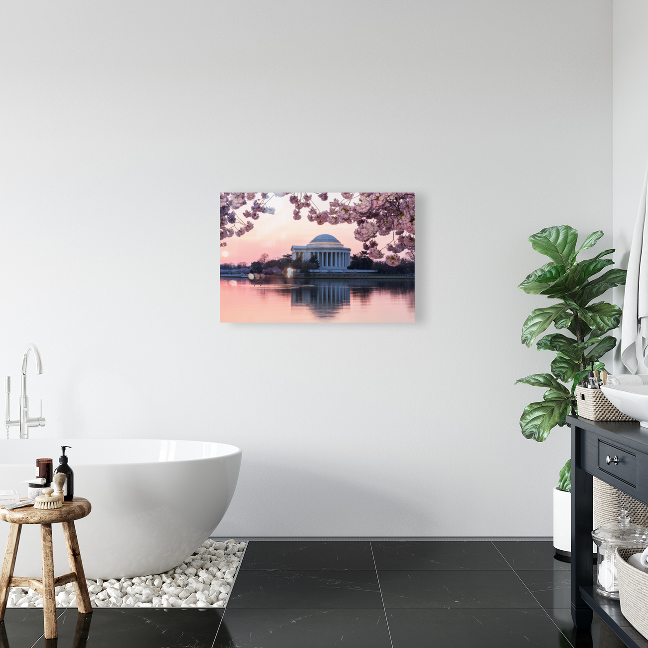 Pink colors of Cherry Blossom and Jefferson Memorial at sunrise Reproduction