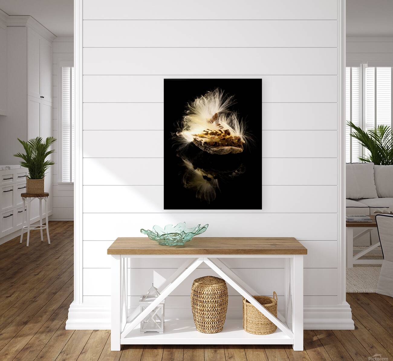 Macro photo of swamp milkweed seed pod Reproduction