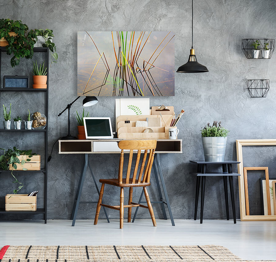 Empty bed of reeds in Everglades Florida Reproduction