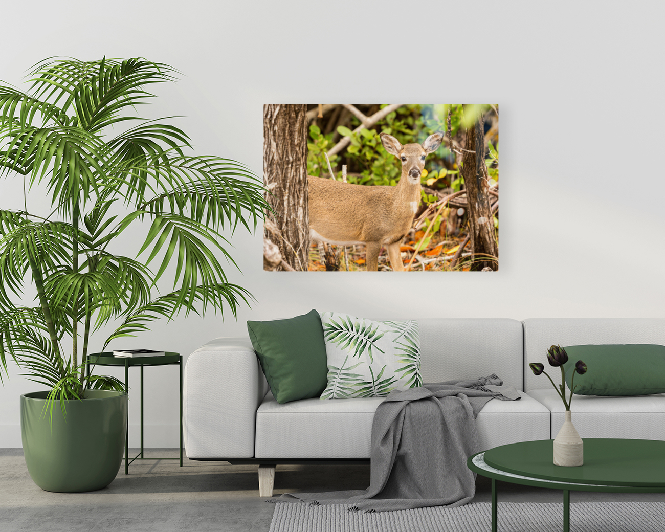 Small Key Deer in woods Florida Keys Reproduction