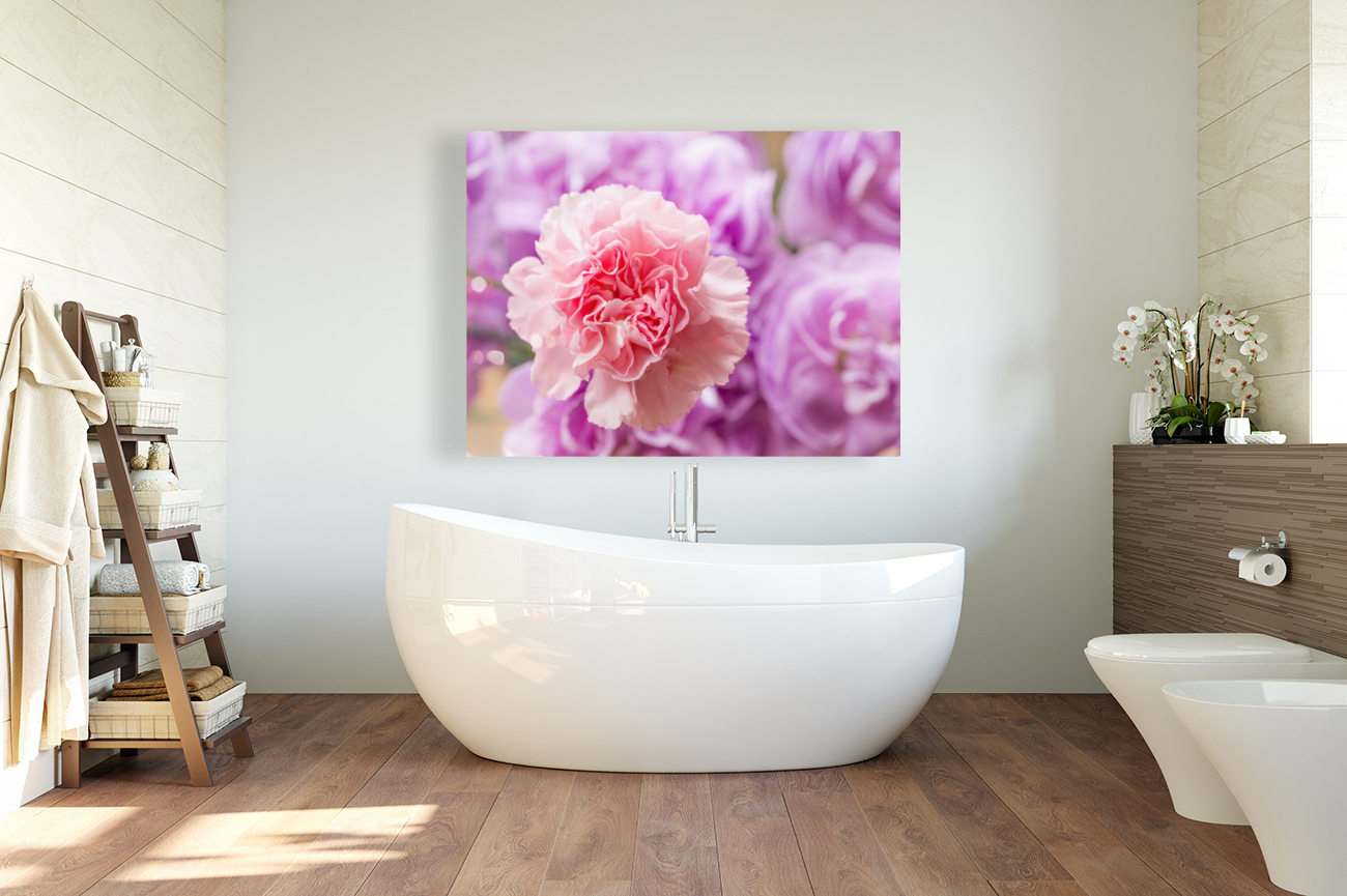 Delicate close up of petals of a carnation Reproduction