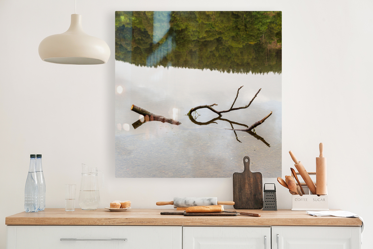 Reflection of branch in Coniston Water  Reproduction