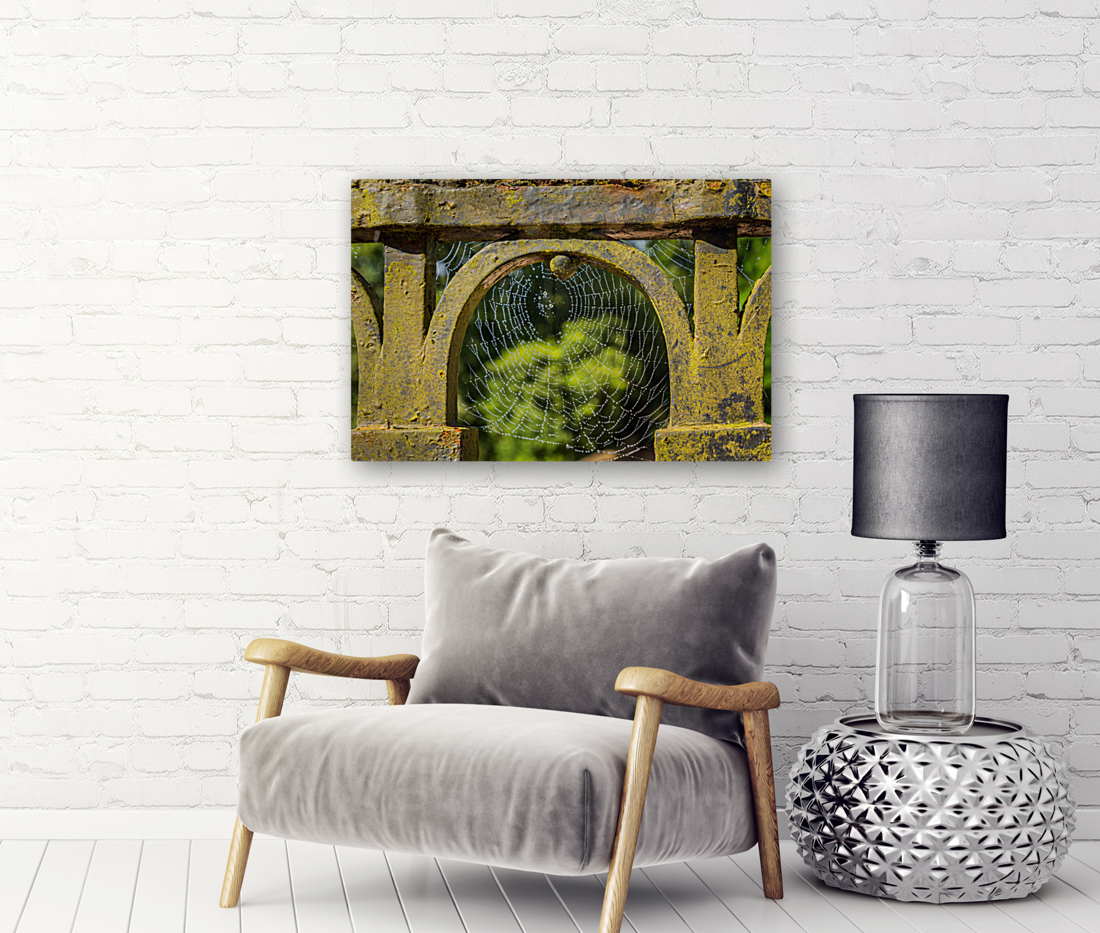 Dew glistening cobweb on gate Reproduction