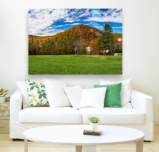 Old tree trunk contrasts with vibrant Vermont fall colors Reproduction