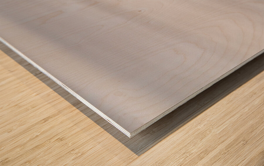 Single Gentoo penguin on Falklands walking to ocean Wood print