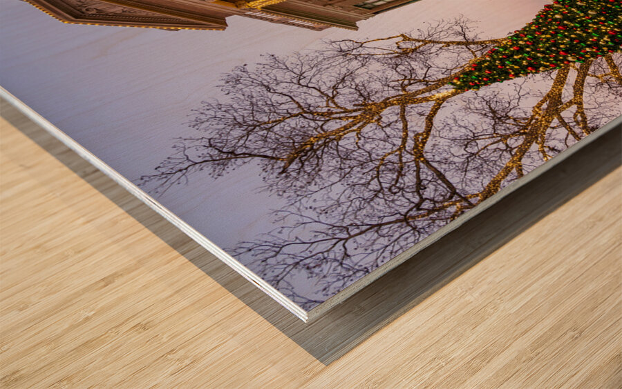 Entrance to Williamson County Courthouse in Georgetown TX Wood print