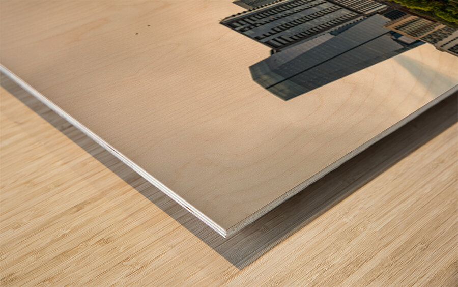 Water level view of the city skyline of Austin Texas in summer 2 Wood print