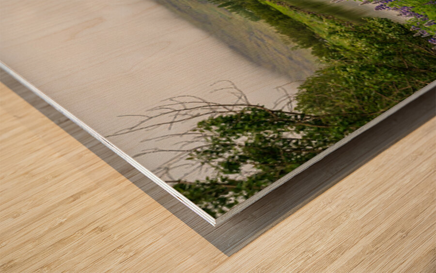 Peaceful scene in Seydisfjordur of river flowing from misty moun Wood print