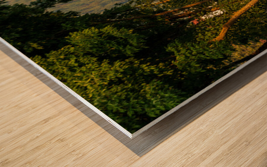 Flower strewn balconies of a hotel in Alpine village of Leavenwo Wood print