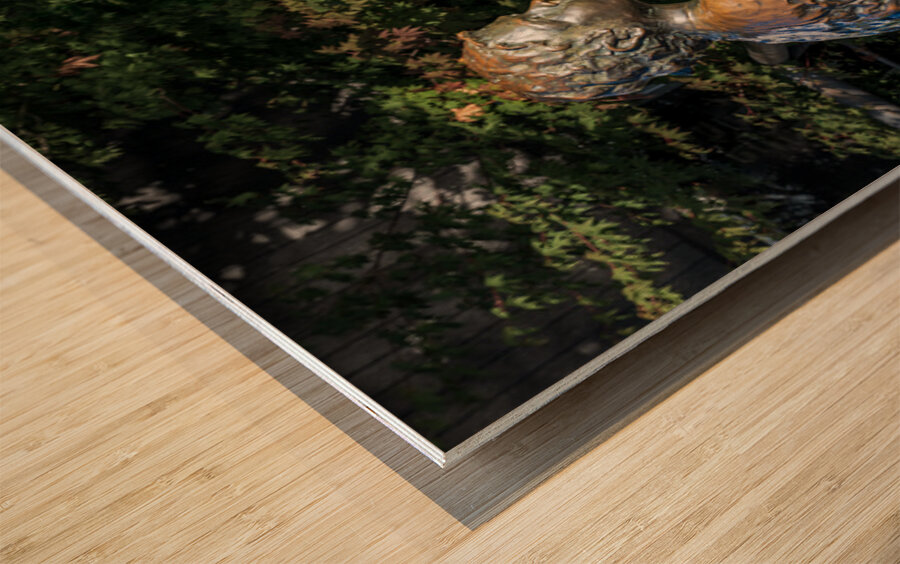 Boy with dog statue in Langley on Whidbey Island Wood print