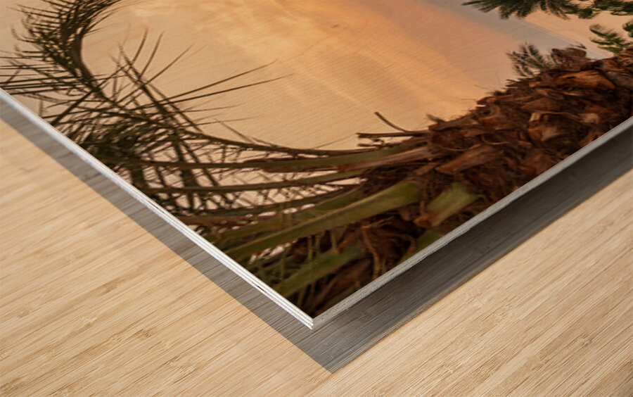 Sun setting behind the West Bank of Israel over Dead Sea Wood print