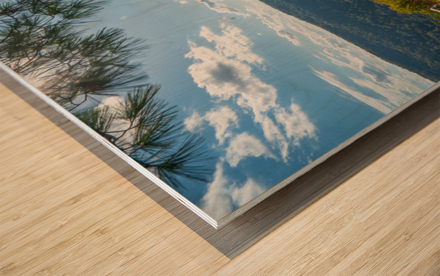 Coopers Rock state park overlook Wood print