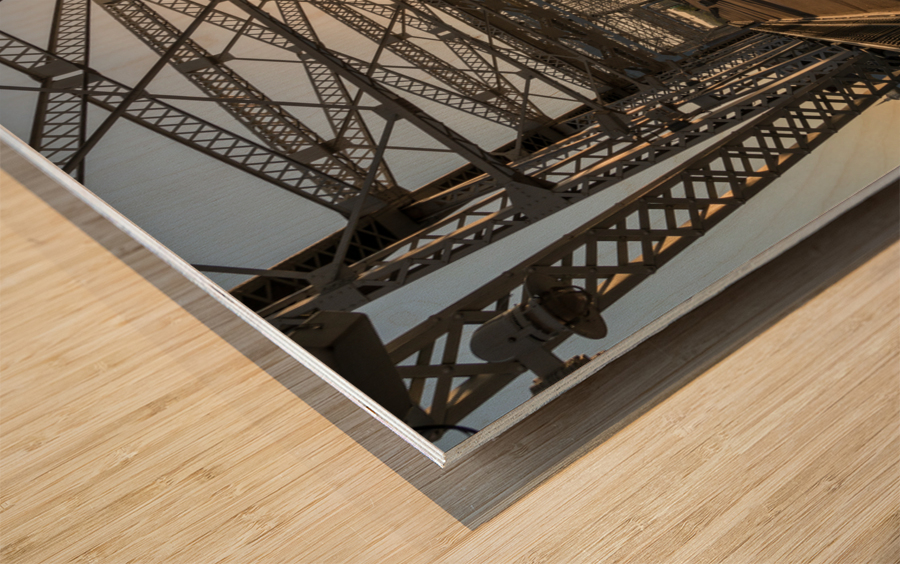 John Seigenthaler pedestrian bridge in Nashville Tennessee Wood print