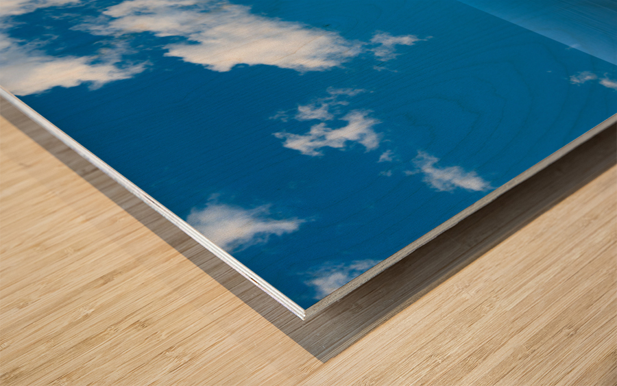 Sea level rise flooding the flowers for butterfly Wood print