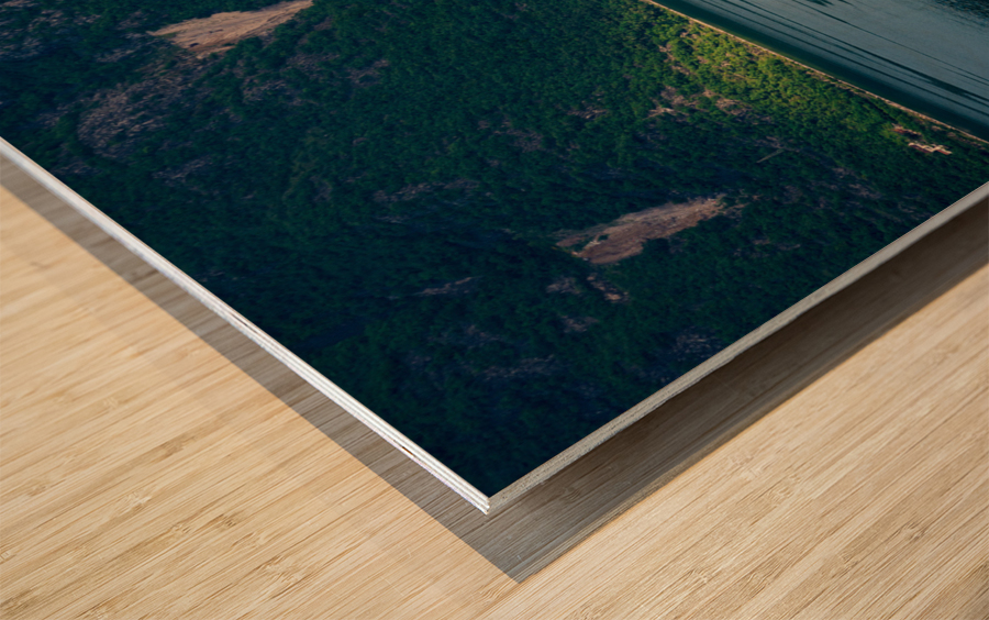 Our Lady of the Rocks Wood print