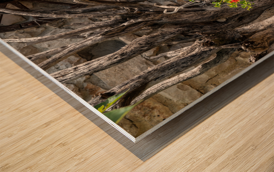 Red flowers in artistic flower arrangement with cartwheel Wood print