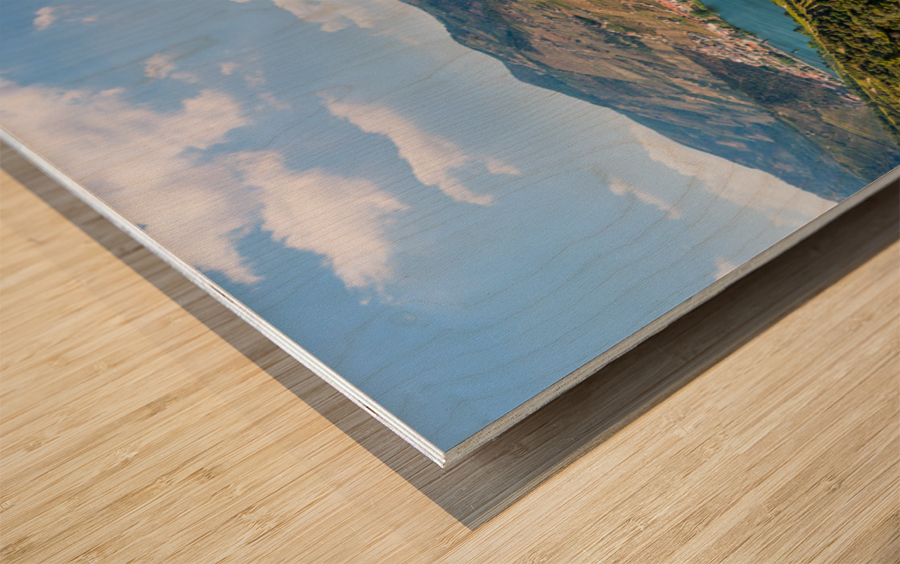 Vineyards line the Douro valley in Portugal Wood print