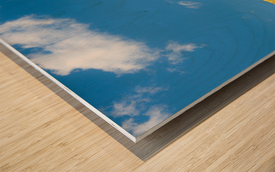 Green grassy lawn with blue sky and clouds Wood print