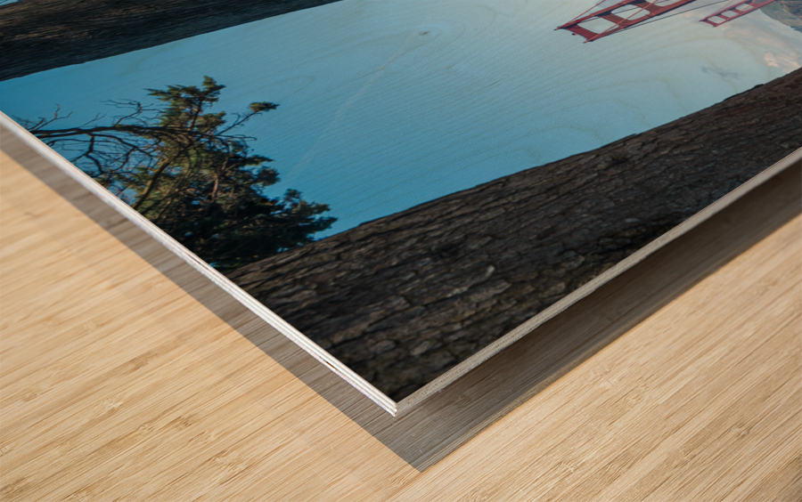 Golden Gate Bridge and tree trunks Wood print