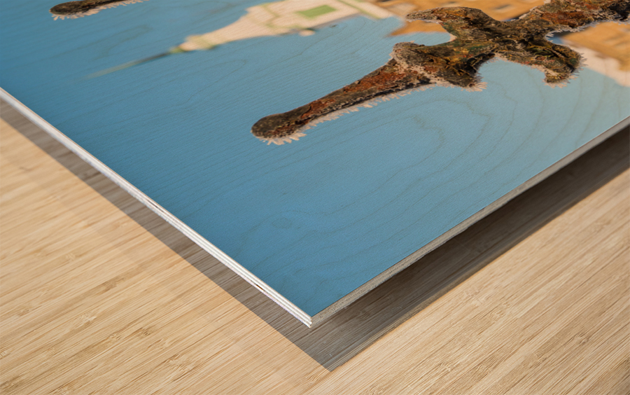 Railings in snow outside Lunatic Asylum Wood print