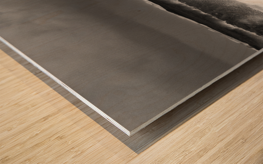 Frozen motion of large wave on beach Wood print