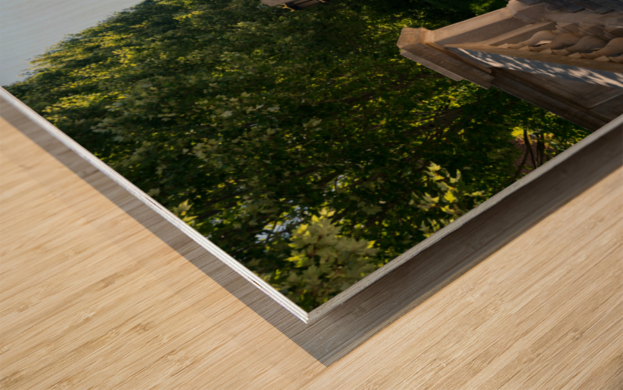 Monument Terrace in Lynchburg Virginia Wood print