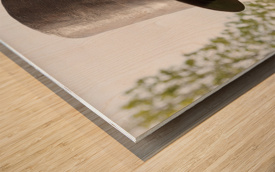 Detail of head of statue of President Lincoln Wood print