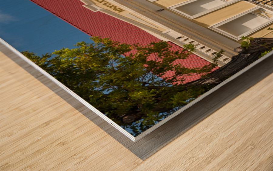 Legislature of US Virgin Islands Wood print