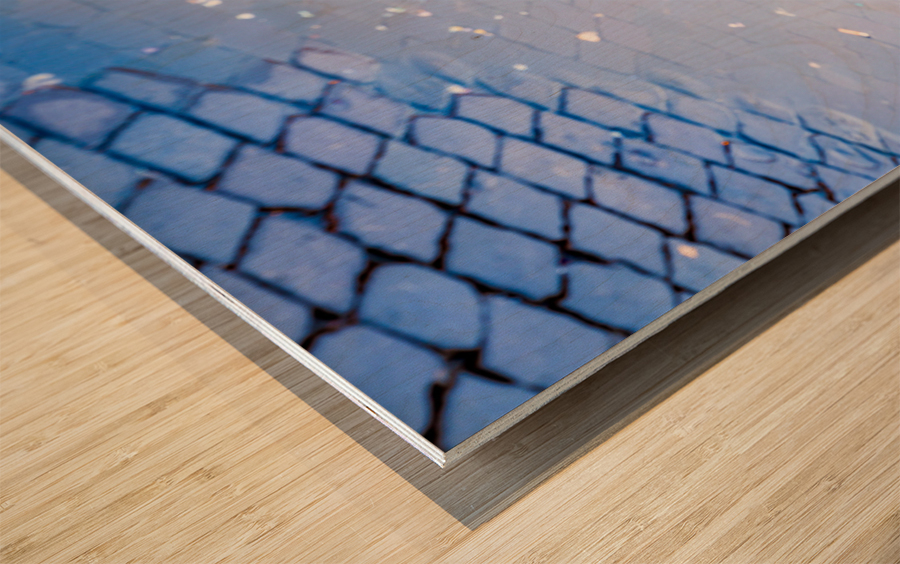 Dusk in famous Piazza Navona Wood print