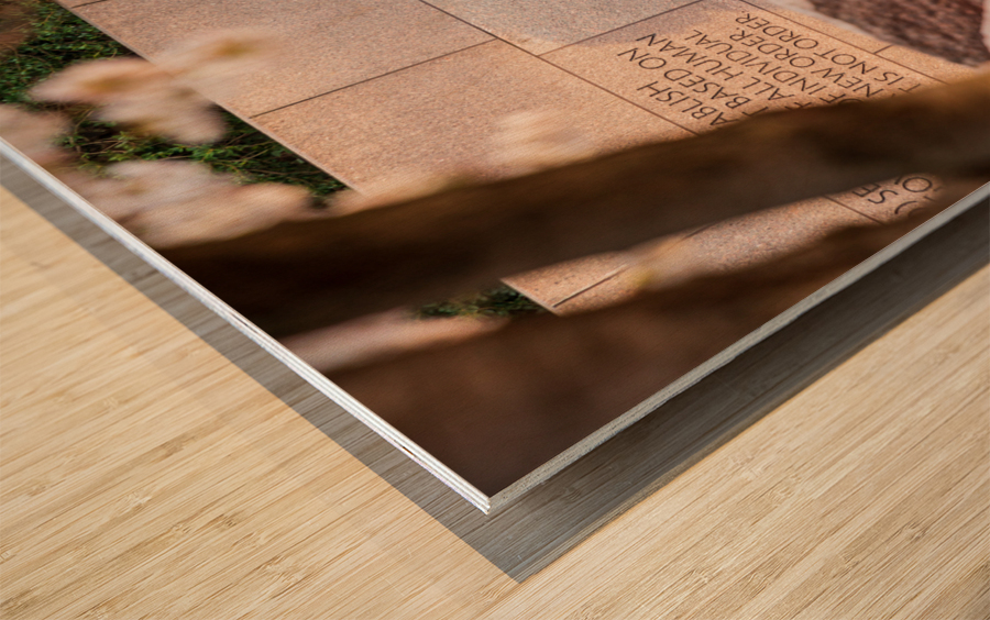 Statue at Roosevelt memorial Washington DC Wood print