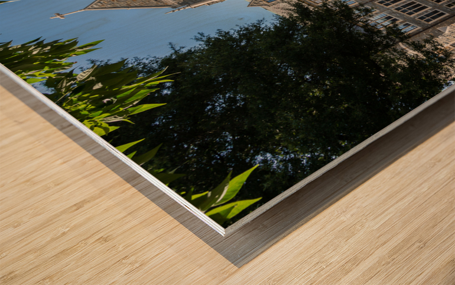 White Gravenor hall Georgetown University DC Wood print