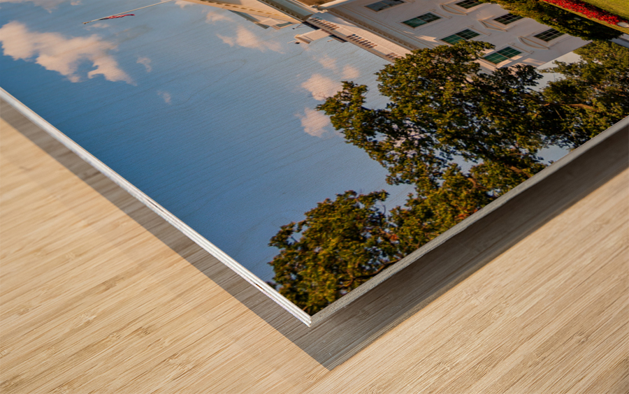 White House Washington DC Wood print