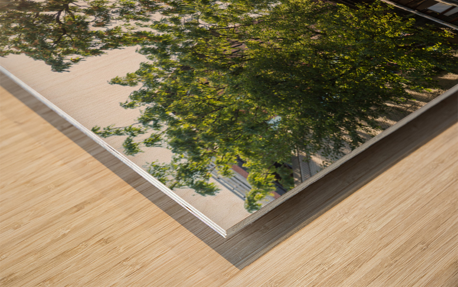 Wooden bridge on the old canal in Georgetown Washington DC Wood print