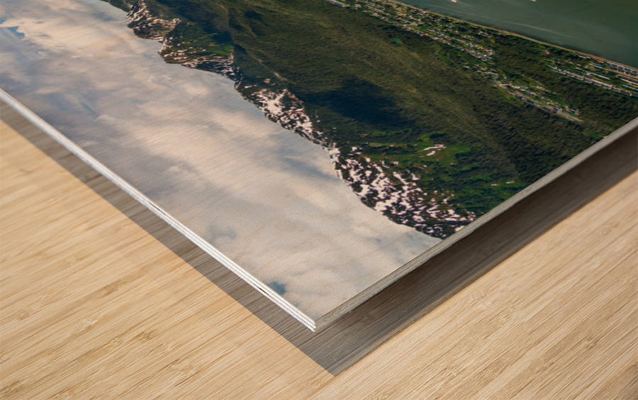 View from Mount Roberts down to port of Juneau Alaska Wood print