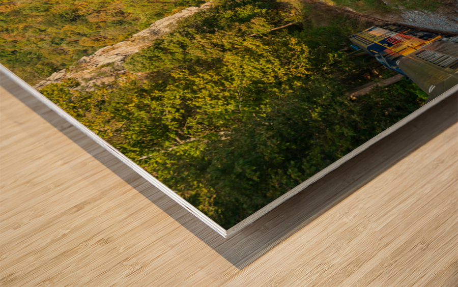 Diesel engine on train trip up gorge Wood print